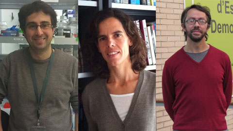 Los investigadores premiados con las Starting Grants 2014