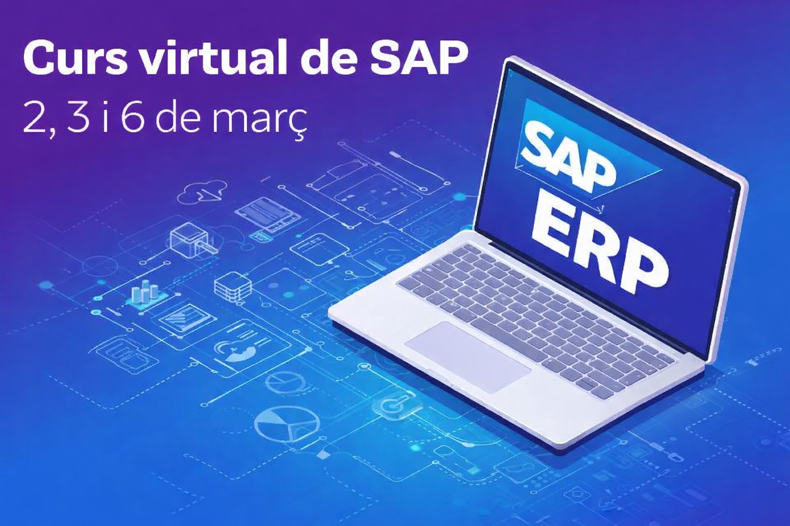 Curs Virtual SAP