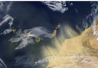 Transport a llarga distància de pol¿len