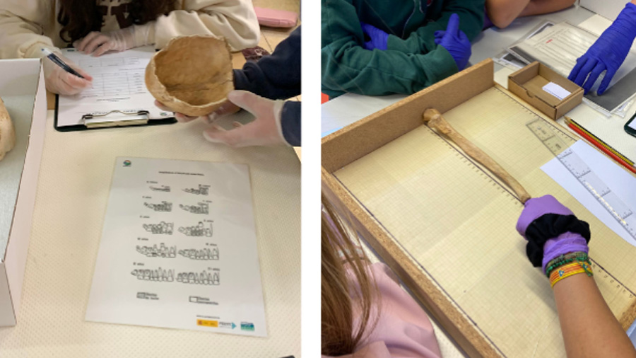 Imatges infants escoles amb material d'arqueologia