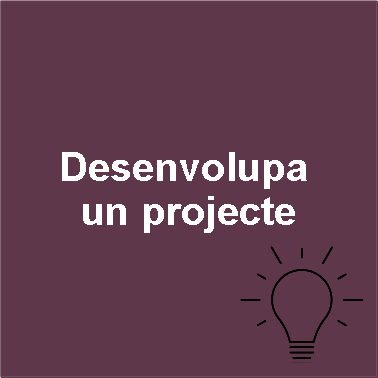 Desenvolupa un projecte