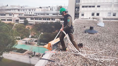 ColocacioCaixesNiuFalciots