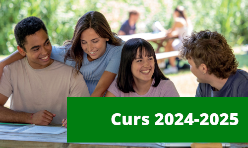 Web de dades 2024-2025