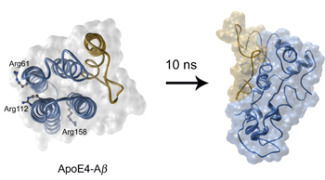 Avenç per Alzheimer