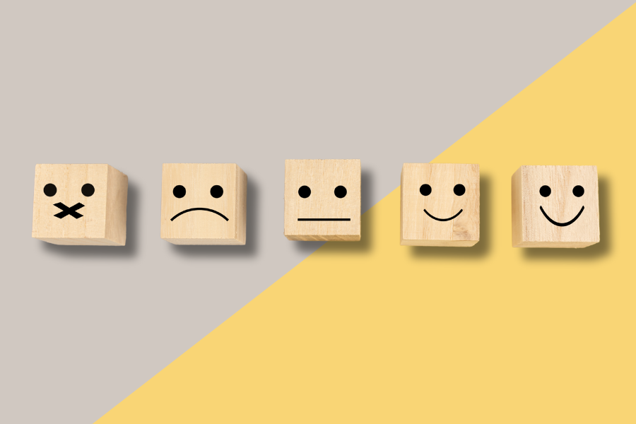 5 cares en 5 daus de fusta