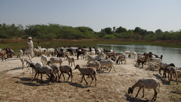 parentiu i coneixement ecològic