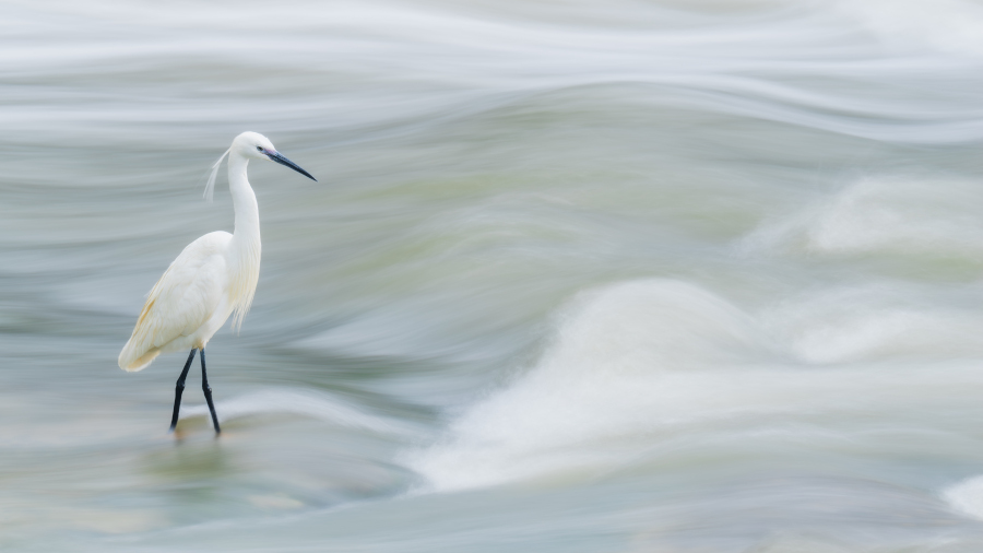 Pinzellades. Autor: Arnau Soler Costa 