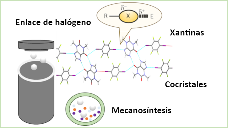 Obtención de cocristales con enlace de halógeno a partir de metilxantinas