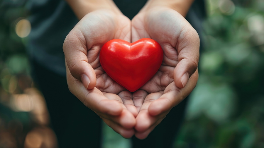 Fotografia d'unes mans agafant un cor de goma