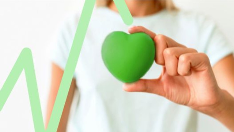 Bases premios trabajos finales grado y máster 2024