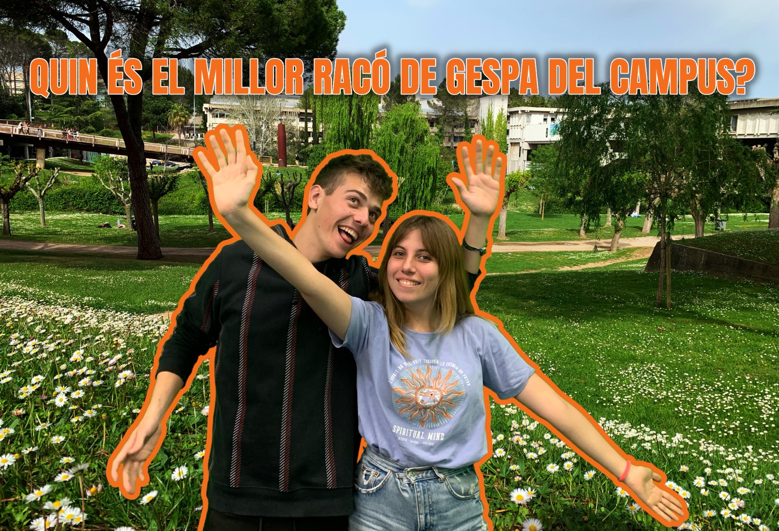 Quin és el millor racó de gespa del campus?