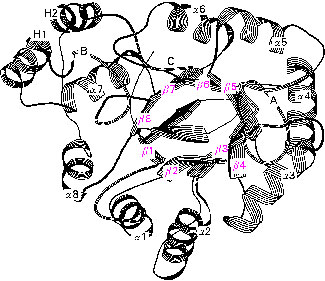Estudi sobre un enzim involucrat en el càncer de pulmó