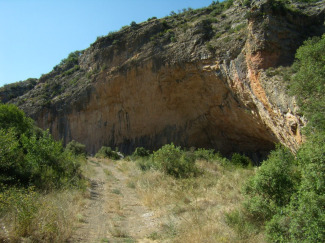 Sapiens i Neandertals