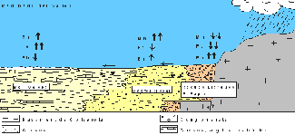 Ciments de calcita: Anàlisi de tres zones de Catalunya