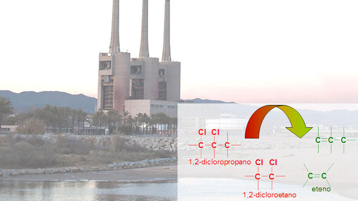 bacteri respira contaminants