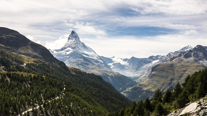El canvi climàtic amenaça les espècies d'arbres més importants dels boscos d'alta muntanya