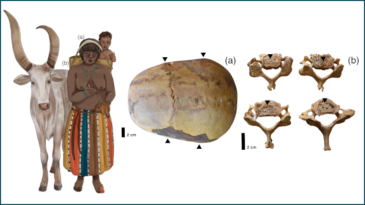 Il·lustració representativa d'una dona i un nadó i fotografia de restes arqueològiques