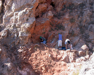 Jaciment d'Almenara-Casablanca 4 (Castelló)