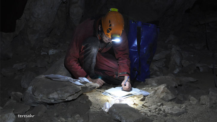 l'aventura d'excavar nova