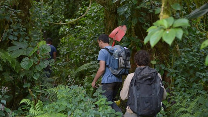 imatge representant afromonta