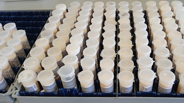 imatge representant de llet