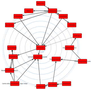 Exemple de representació reticular del discurs