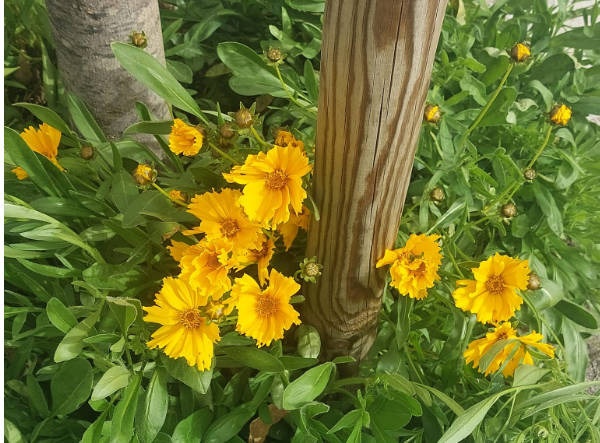 Fotografia_bones_vacances