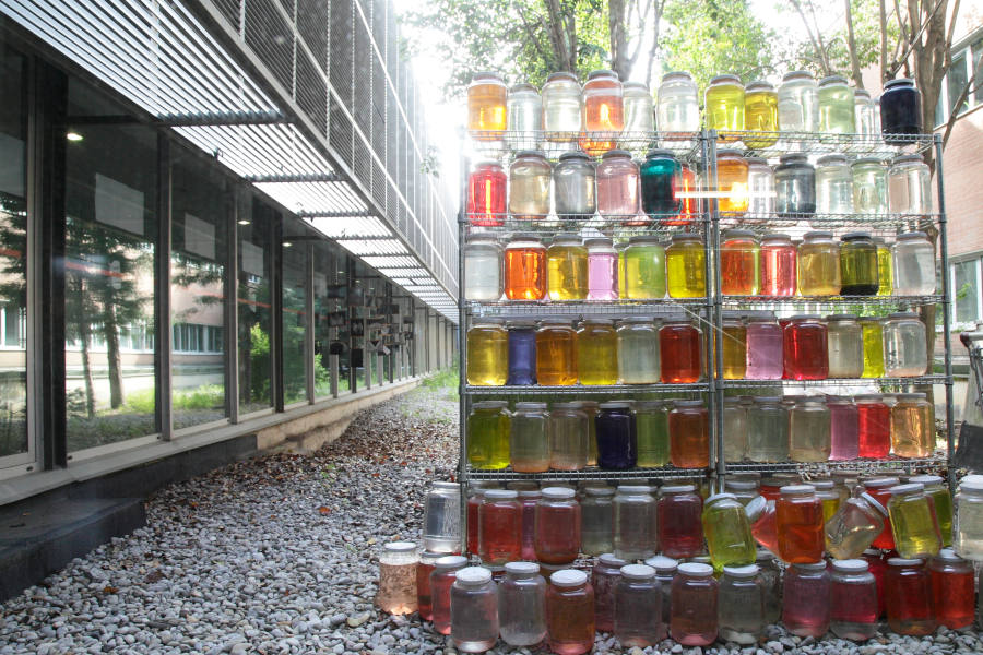 Pràcticum Pedagogia