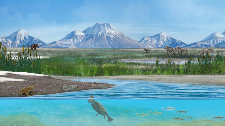 Recreació de la vida de la flora i fauna més rellevants del jaciment del Plistocè In