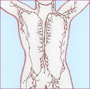 Limfomes no hodgkinians
