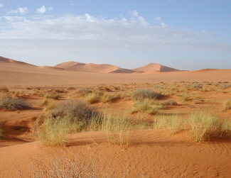 Recerca europea liderada per l'ICTA