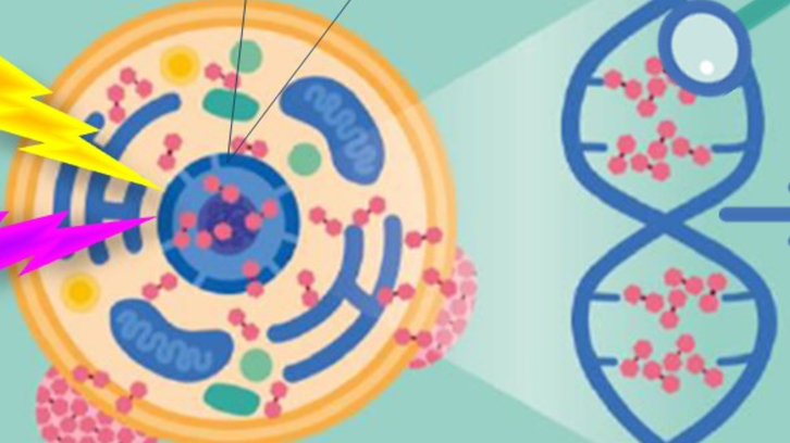 Esquema sobre els hidrurs de bor