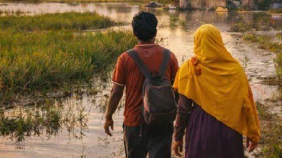 imatge de la portada de l'informe