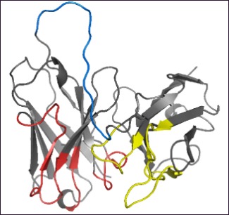 Alzheimer Anticossos