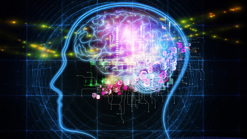 Forum Brain Health and Neurorestoration