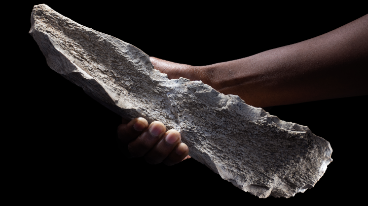 Eina d'os tallada sobre un húmer d'elefant de fa 1,5 milions d'anys. Imatge: CSIC.
