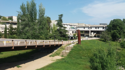 Campus buit. Gespa i pont de la Cívica