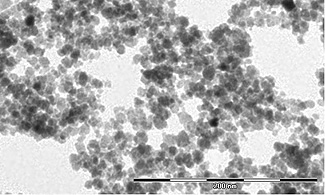 La toxicologia i las nanopartícules