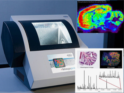 sePBioEs (Servei de Proteòmica i Biologia Estructural)