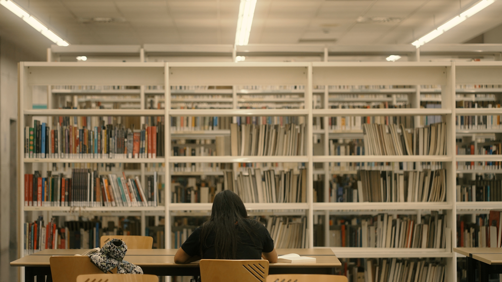 Micromecenatge Palestina